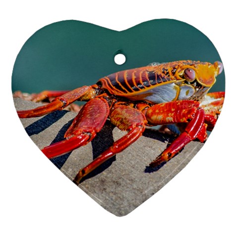 Colored Crab, Galapagos Island, Ecuador Heart Ornament (Two Sides) from ArtsNow.com Back