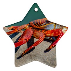 Colored Crab, Galapagos Island, Ecuador Star Ornament (Two Sides) from ArtsNow.com Front