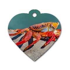 Colored Crab, Galapagos Island, Ecuador Dog Tag Heart (Two Sides) from ArtsNow.com Back