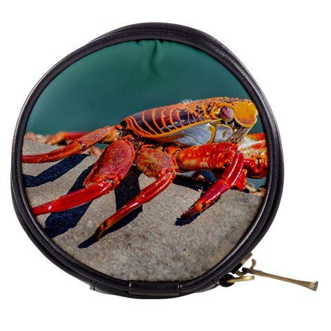Colored Crab, Galapagos Island, Ecuador Mini Makeup Bag from ArtsNow.com Front