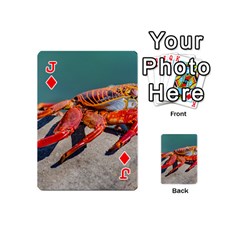 Jack Colored Crab, Galapagos Island, Ecuador Playing Cards 54 Designs (Mini) from ArtsNow.com Front - DiamondJ