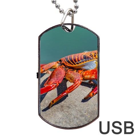 Colored Crab, Galapagos Island, Ecuador Dog Tag USB Flash (One Side) from ArtsNow.com Front