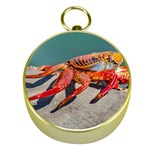 Colored Crab, Galapagos Island, Ecuador Gold Compasses