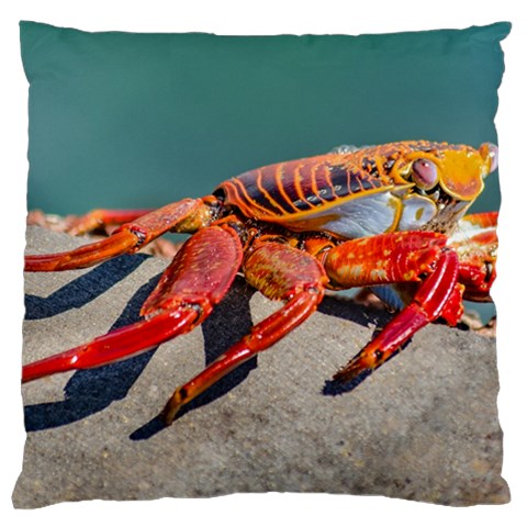 Colored Crab, Galapagos Island, Ecuador Standard Flano Cushion Case (Two Sides) from ArtsNow.com Back