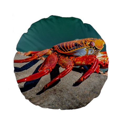 Colored Crab, Galapagos Island, Ecuador Standard 15  Premium Flano Round Cushions from ArtsNow.com Back