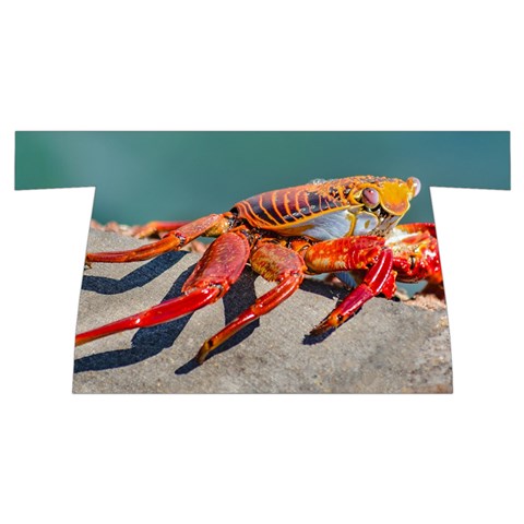 Colored Crab, Galapagos Island, Ecuador Wristlet Pouch Bag (Small) from ArtsNow.com Front