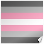 Demigirl Pride Flag LGBTQ Canvas 16  x 16 