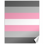 Demigirl Pride Flag LGBTQ Canvas 11  x 14 