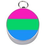 Polysexual Pride Flag LGBTQ Silver Compasses
