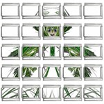 Miss Fern 9mm Italian Charm (25 pack)