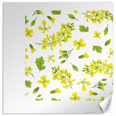 Yellow Flowers Canvas 12  x 12  from ArtsNow.com 11.4 x11.56  Canvas - 1