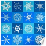 Snowflakes Canvas 12  x 12 