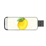 Illustration Sgraphic Lime Orange Portable USB Flash (One Side)