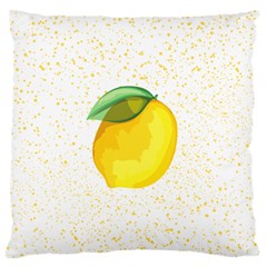 Illustration Sgraphic Lime Orange Standard Flano Cushion Case (Two Sides) from ArtsNow.com Front