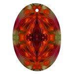 Landscape In A Colorful Structural Habitat Ornate Ornament (Oval)