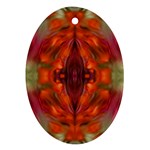 Landscape In A Colorful Structural Habitat Ornate Oval Ornament (Two Sides)