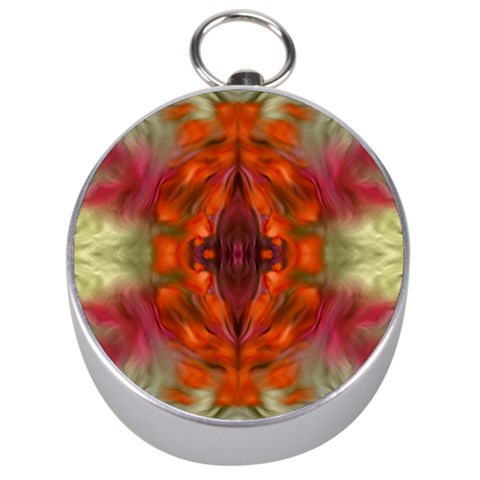 Landscape In A Colorful Structural Habitat Ornate Silver Compasses from ArtsNow.com Front