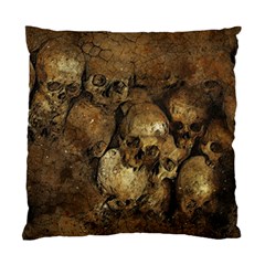 Skull Texture Vintage Standard Cushion Case (Two Sides) from ArtsNow.com Back