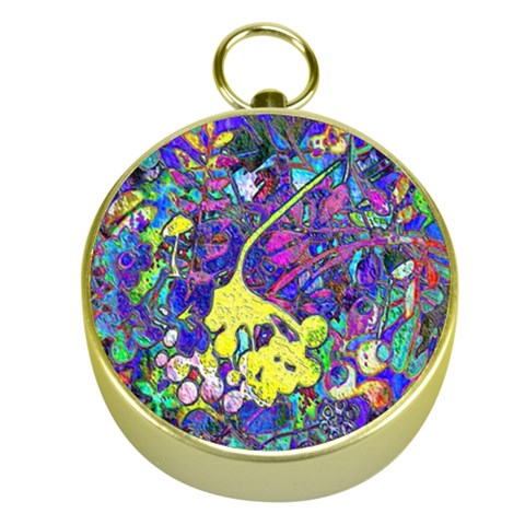 vibrant abstract floral/rainbow color Gold Compasses from ArtsNow.com Front