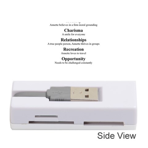 Annette Memory Card Reader (Stick) from ArtsNow.com Front