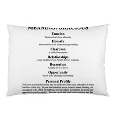 Annette Pillow Case (Two Sides) from ArtsNow.com Back