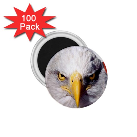 American Eagle 1.75  Magnet (100 pack)  from ArtsNow.com Front