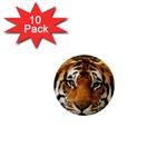 Tiger 1  Mini Button (10 pack) 