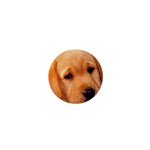 Labrador 1  Mini Button