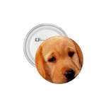 Labrador 1.75  Button