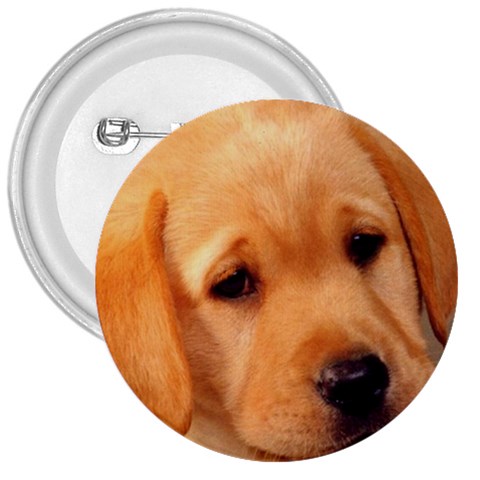 Labrador 3  Button from ArtsNow.com Front