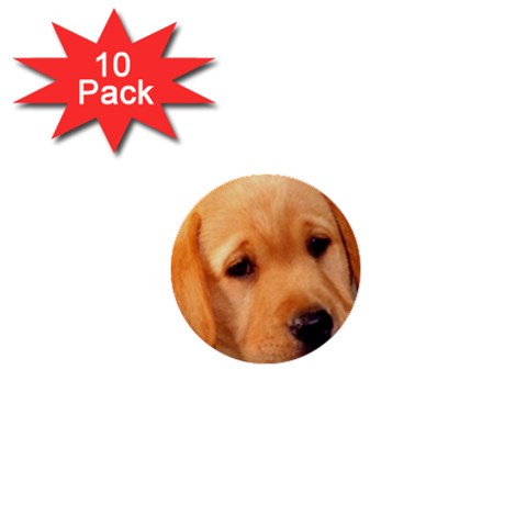 Labrador 1  Mini Button (10 pack)  from ArtsNow.com Front