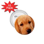 Labrador 1.75  Button (10 pack) 