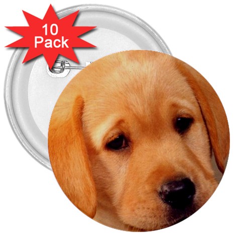 Labrador 3  Button (10 pack) from ArtsNow.com Front