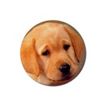 Labrador Rubber Round Coaster (4 pack)
