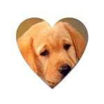 Labrador Magnet (Heart)
