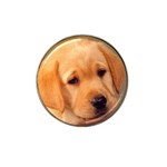 Labrador Hat Clip Ball Marker (10 pack)