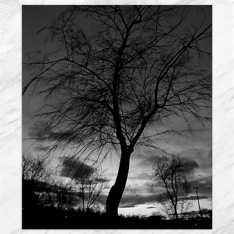 Black and White Tree 1 Canvas 8  x 10  from ArtsNow.com 8.15 x9.66  Canvas - 1