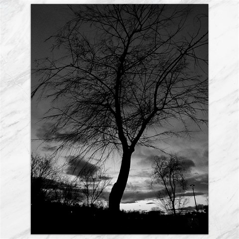 Black and White Tree 1 Canvas 12  x 16  from ArtsNow.com 11.86 x15.41  Canvas - 1