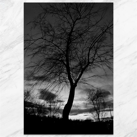 Black and White Tree 1 Canvas 12  x 18  from ArtsNow.com 11.88 x17.36  Canvas - 1
