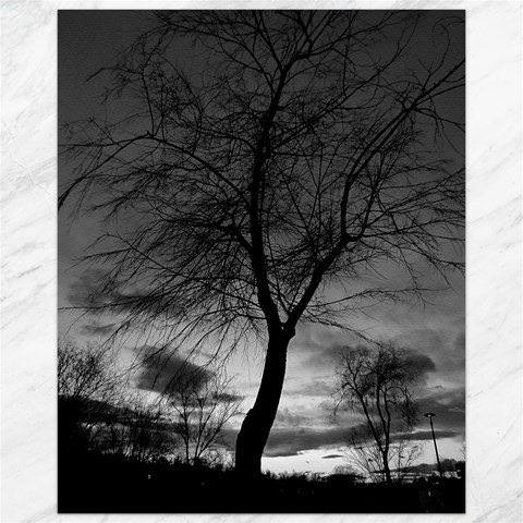 Black and White Tree 1 Canvas 16  x 20  from ArtsNow.com 15.75 x19.29  Canvas - 1