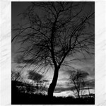 Black and White Tree 1 Canvas 16  x 20 
