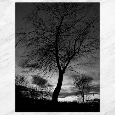 Black and White Tree 1 Canvas 18  x 24  from ArtsNow.com 17.8 x23.08  Canvas - 1