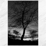 Black and White Tree 1 Canvas 20  x 30 