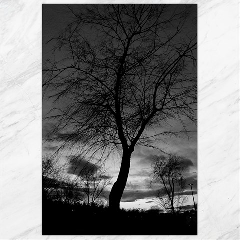 Black and White Tree 1 Canvas 24  x 36  from ArtsNow.com 23.35 x34.74  Canvas - 1