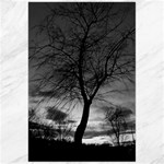 Black and White Tree 1 Canvas 24  x 36 