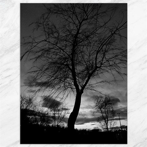 Black and White Tree 1 Canvas 36  x 48  from ArtsNow.com 35.26 x46.15  Canvas - 1