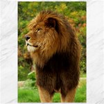 Alert lion Canvas 12  x 18 