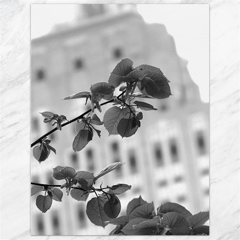 Empire State in B&W Canvas 12  x 16  from ArtsNow.com 11.86 x15.41  Canvas - 1