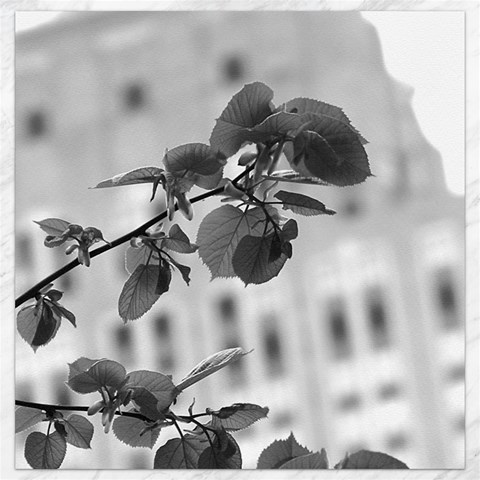 Empire State in B&W Canvas 16  x 16  from ArtsNow.com 15.2 x15.41  Canvas - 1
