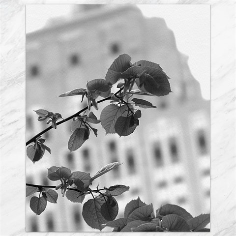 Empire State in B&W Canvas 16  x 20  from ArtsNow.com 15.75 x19.29  Canvas - 1